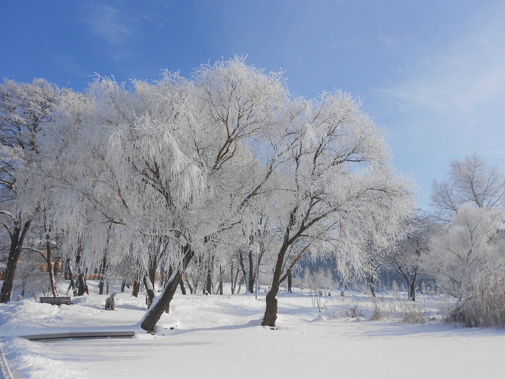 Photograph by Денис Лащ