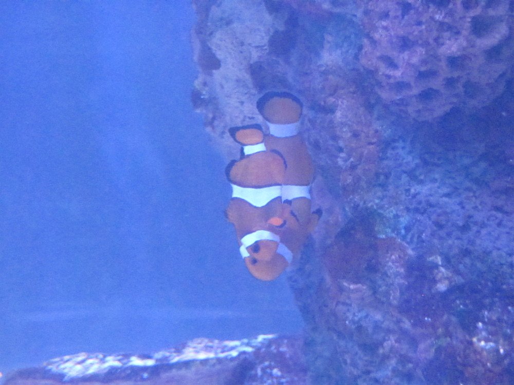 Photograph by Юлия