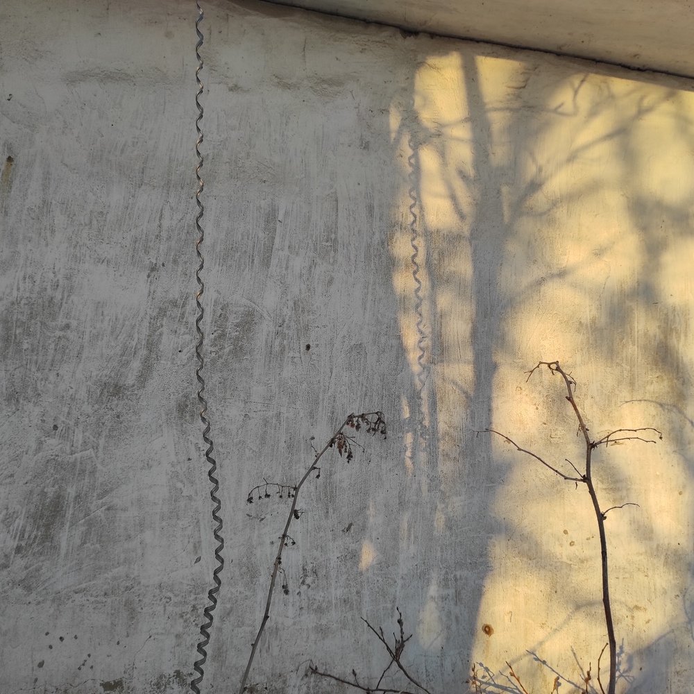 Photograph by Ирина Саттарова