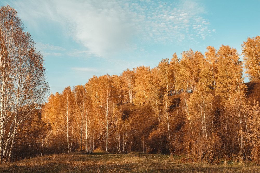 Photograph by Мария Вербицкая