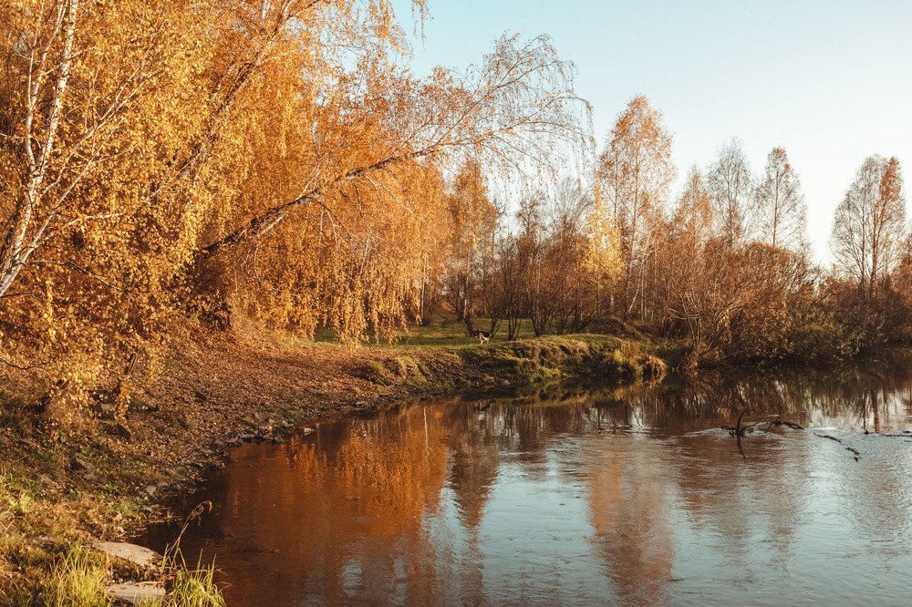 Photograph by Мария Вербицкая