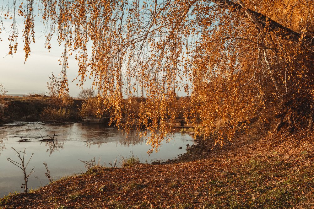 Photograph by Мария Вербицкая