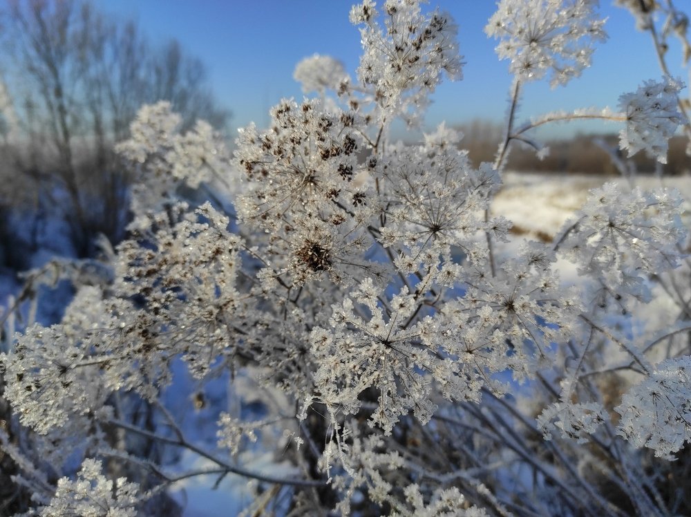 Photograph by Ирина Саттарова