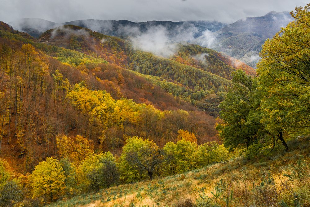 Photograph by Jeni Vladeva