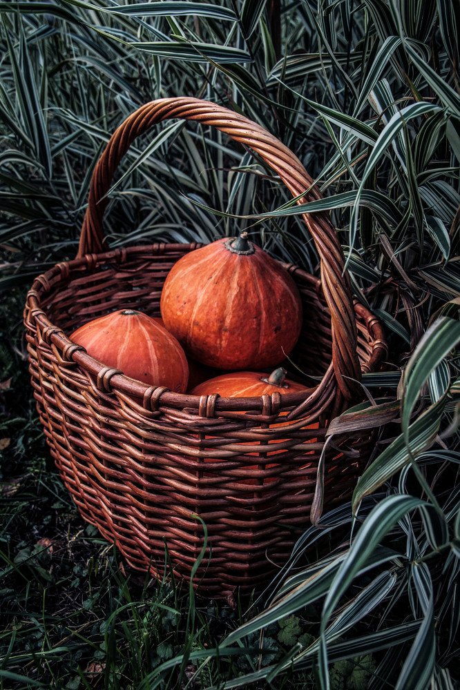 Photograph by Нина Бирюкова