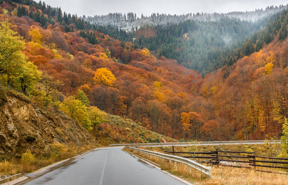 Photograph by Jeni Vladeva