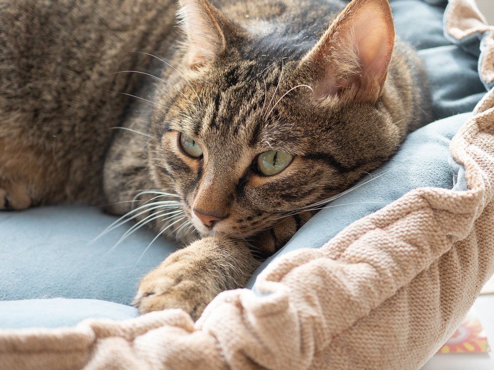 Photograph by Елена Степина