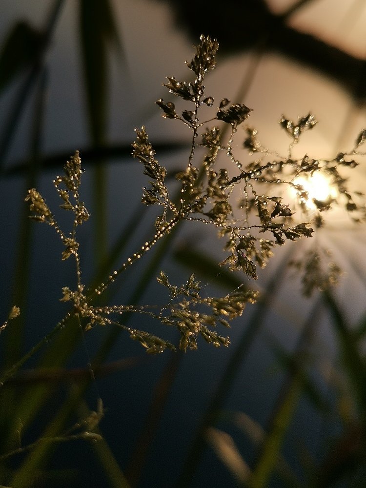 Photograph by Армен Багдасарян