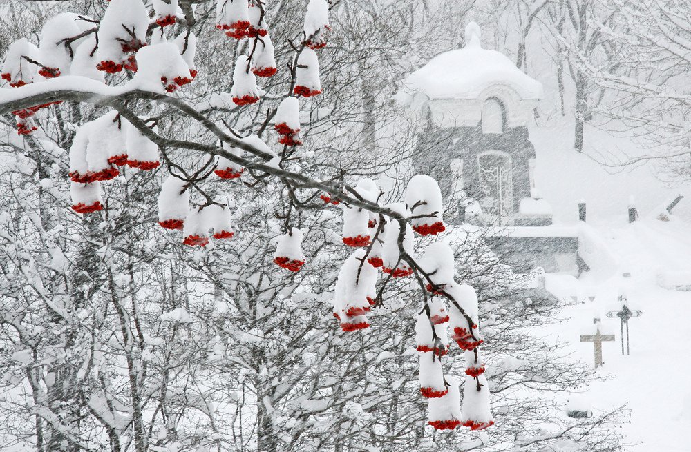 Photograph by Николай Чебанов