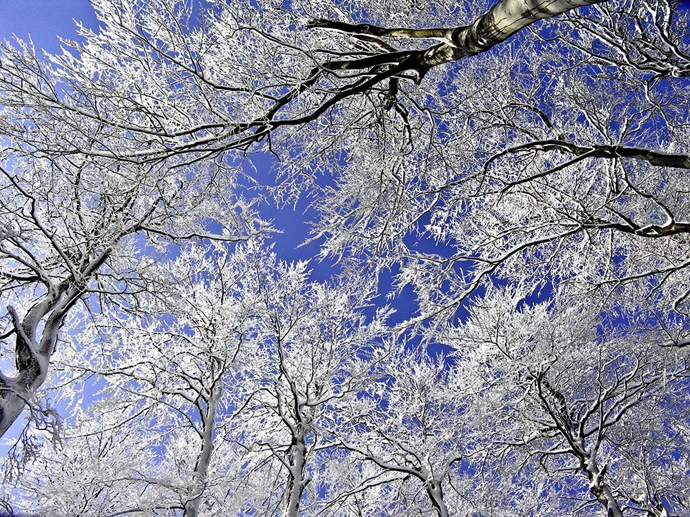 Photograph by Peter Hennig