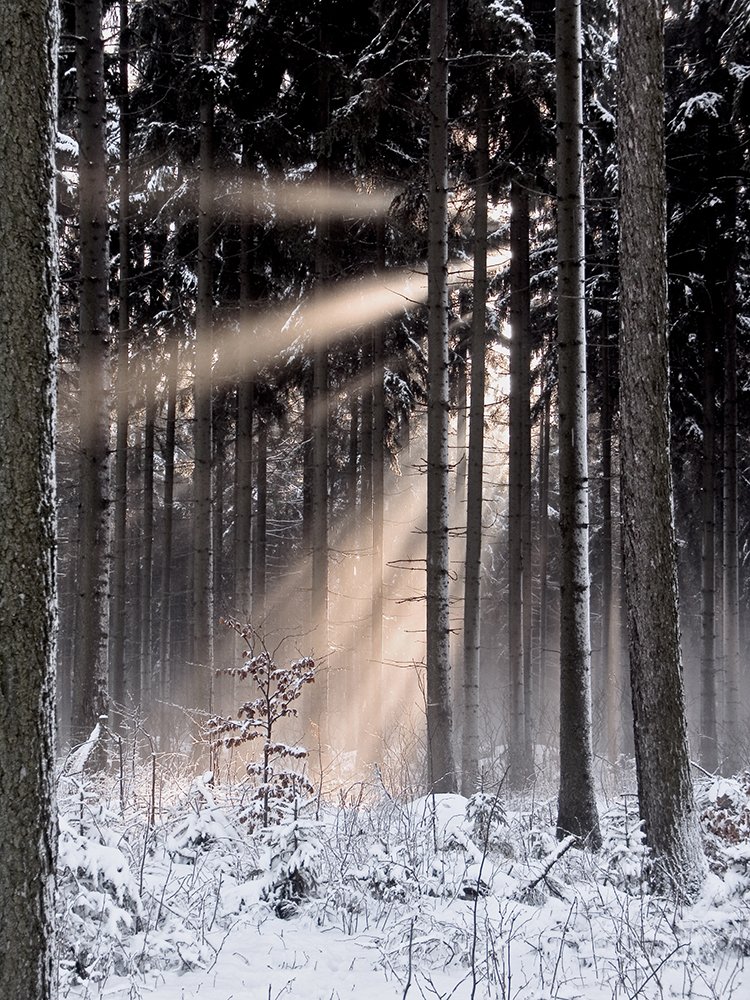 Photograph by Peter Hennig