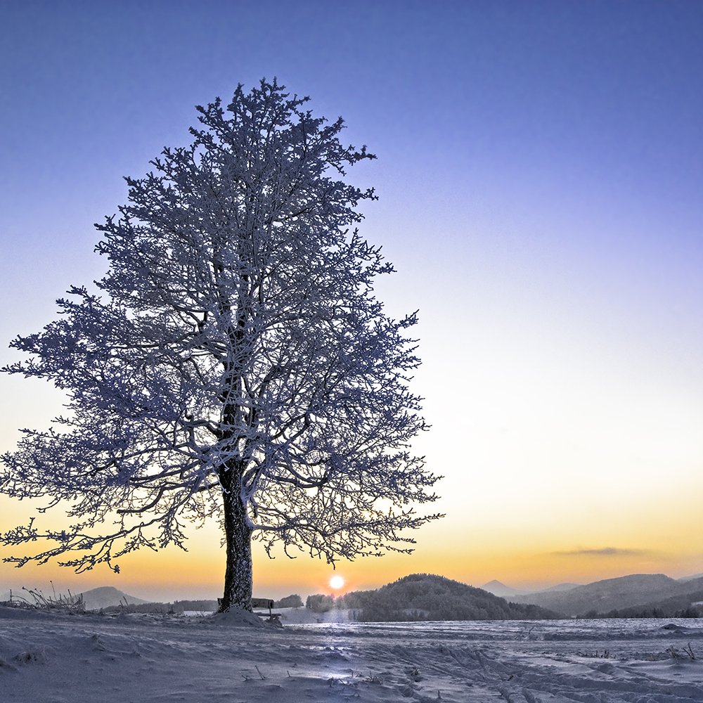 Photograph by Peter Hennig