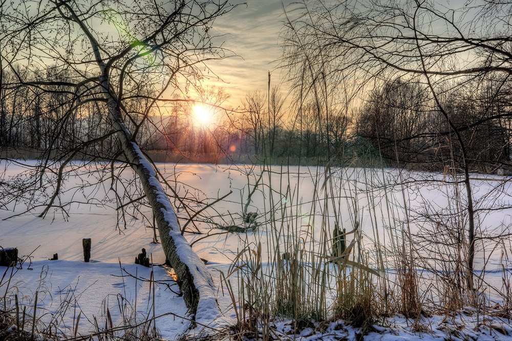 Photograph by Peter Hennig