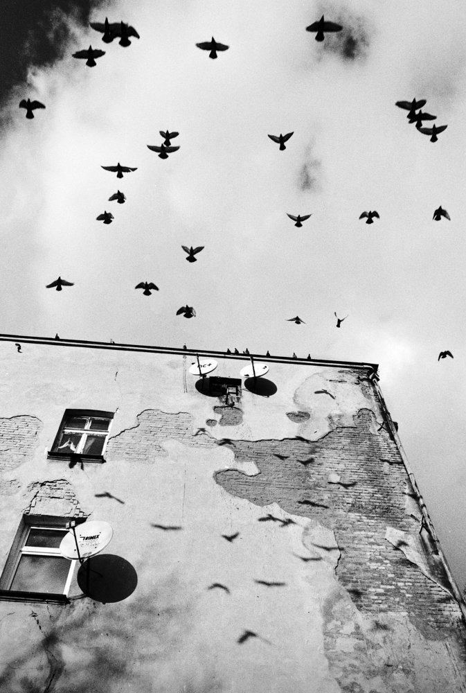 Photograph by Michał Stańczyk