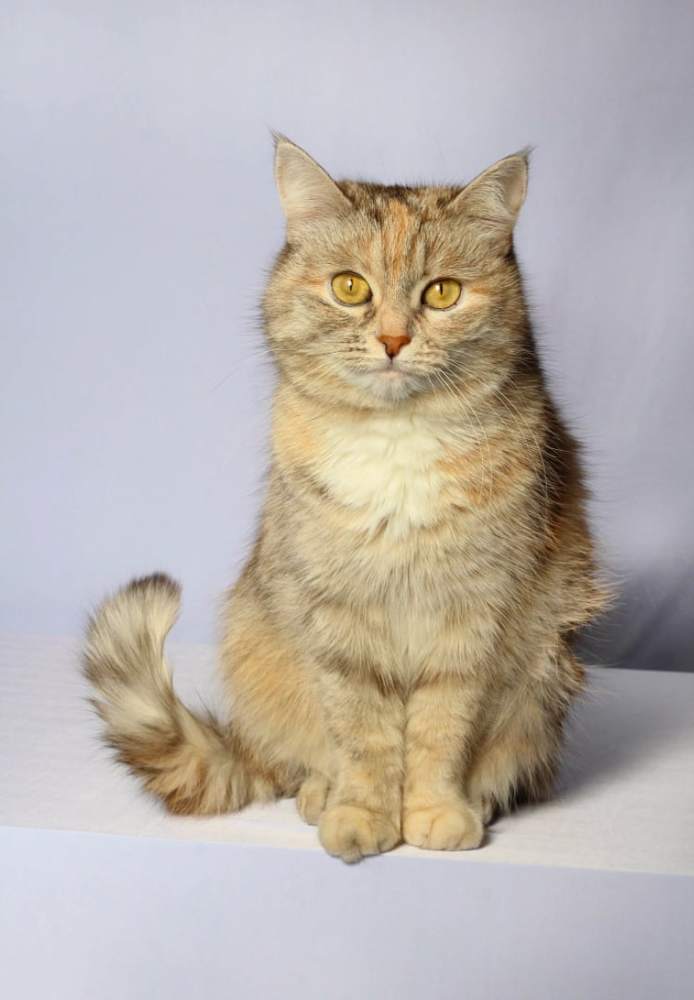 Photograph by Эльза Крюкова