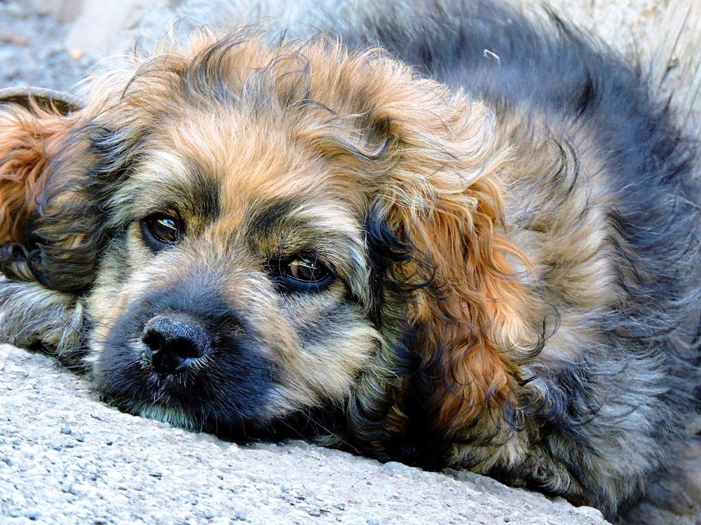 Photograph by Эльза Крюкова