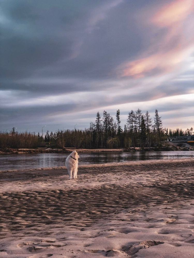 Photograph by Илья Вахитов