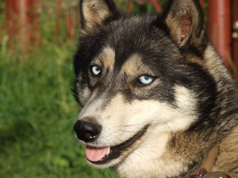 Photograph by Валерий Баранчиков