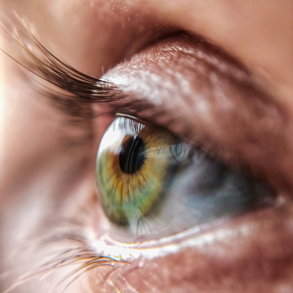 Photograph by Татьяна Кравченко