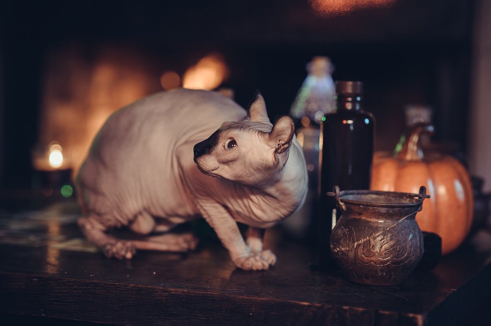 Photograph by Юлианна Волкова