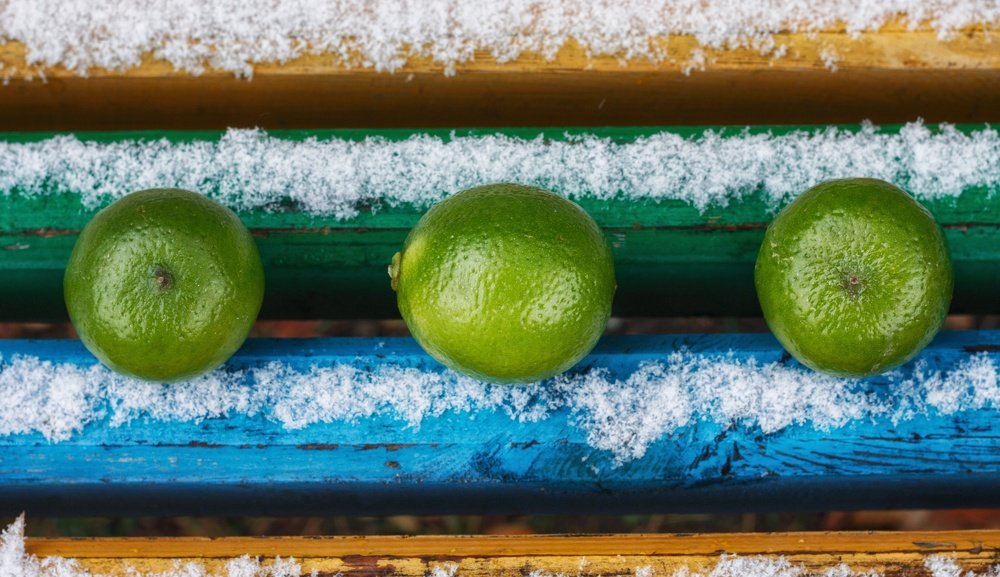 Photograph by Наталья Адалинская