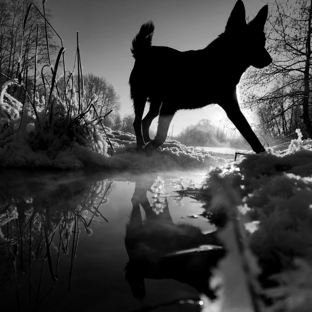 Photograph by Ирина Саттарова