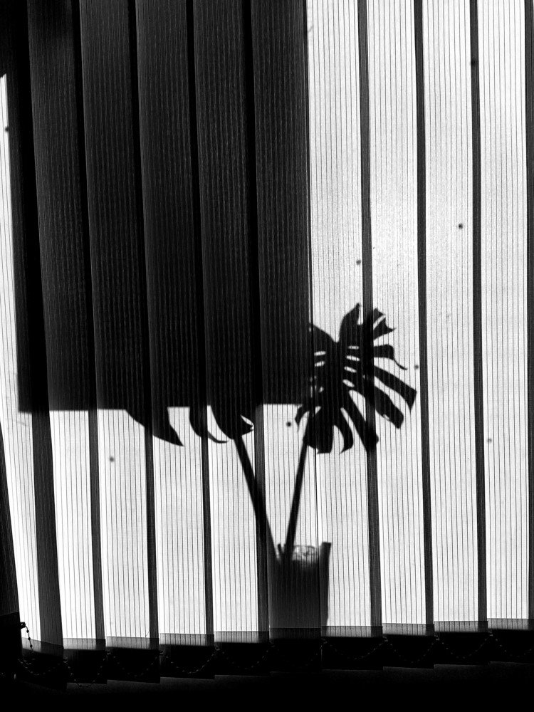 Photograph by Karina Yakovleva