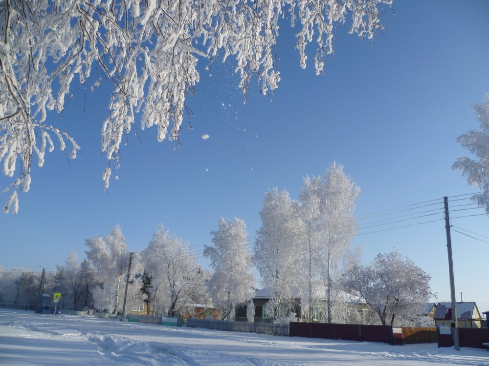 Photograph by Людмила Фризен