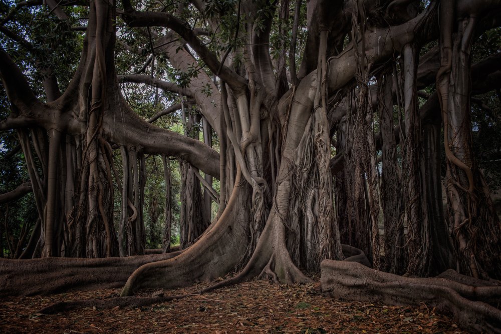 Photograph by Svetlana Milcheva