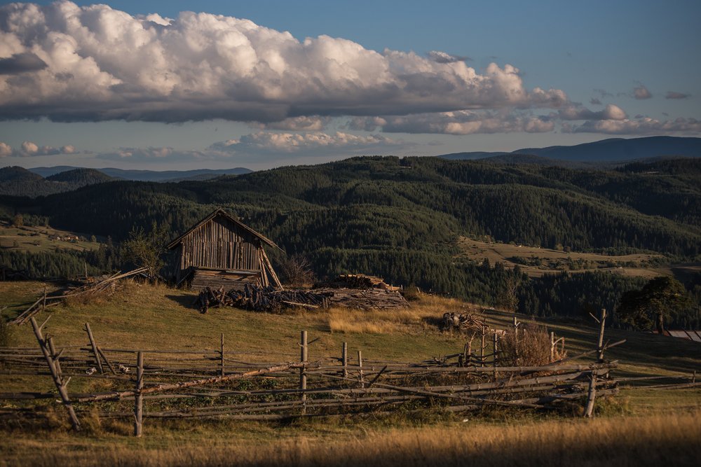 Photograph by Svetlana Milcheva