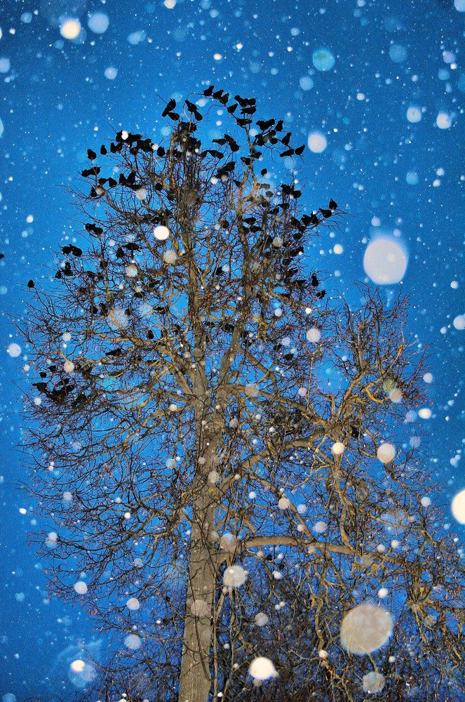 Photograph by Валерий Баранчиков