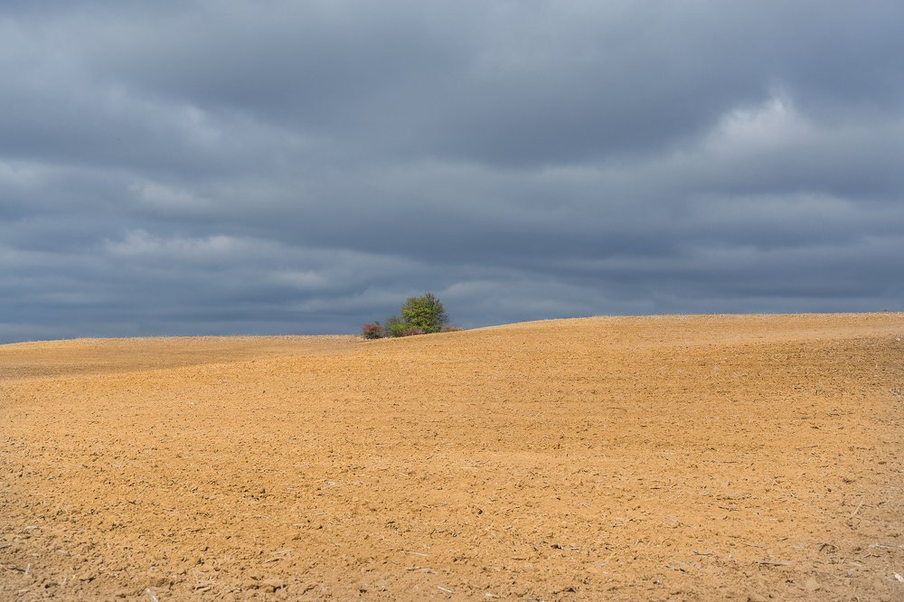 Photograph by Jeni Vladeva