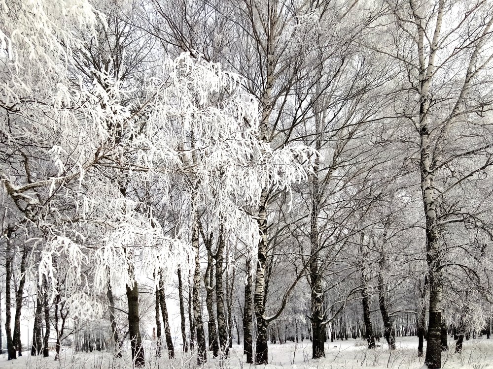 Photograph by Валерий Баранчиков