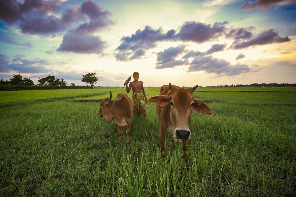 Photograph by kallyan kundu