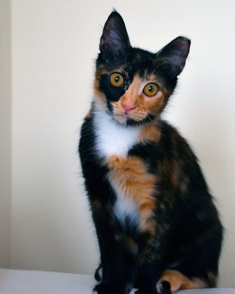 Photograph by Валерий Баранчиков