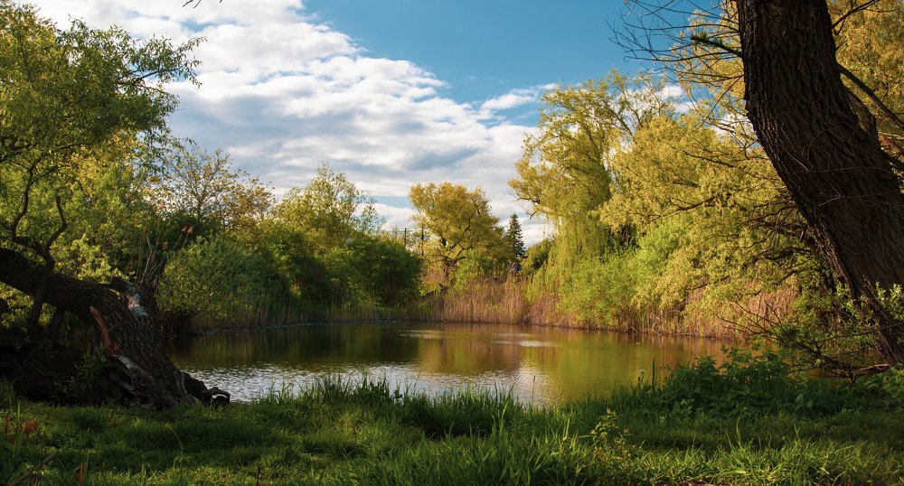 Photograph by Екатерина Кваша