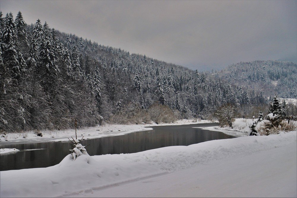 Photograph by Андрей Телибаев