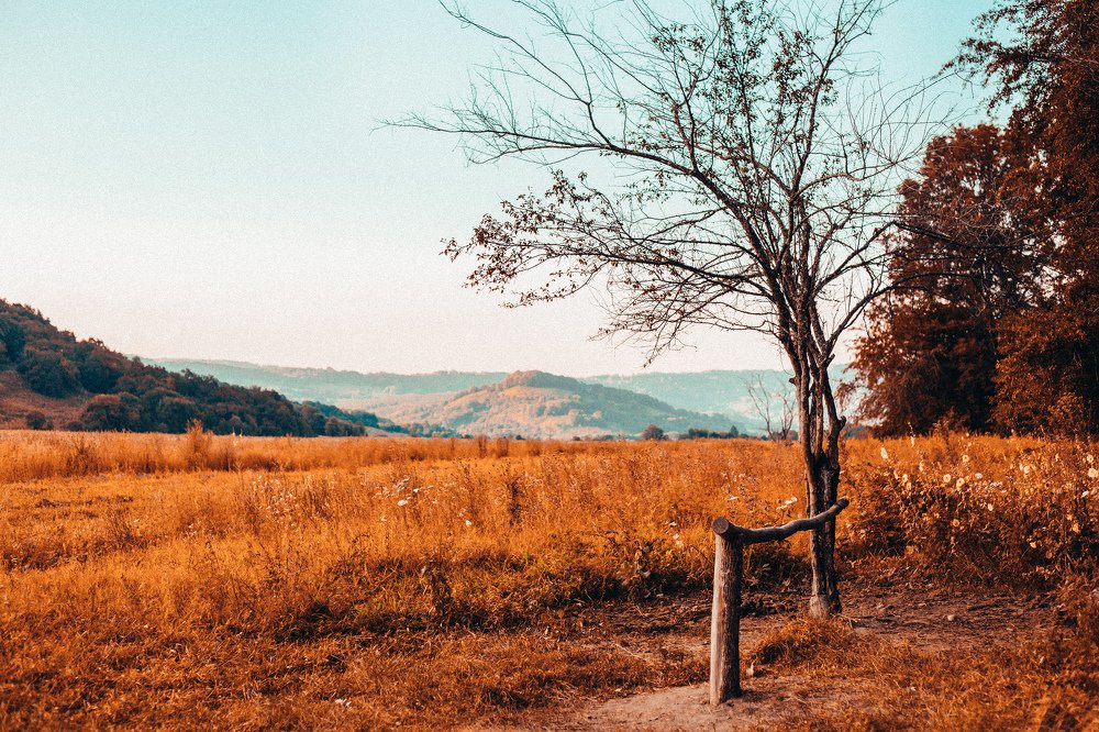 Photograph by Екатерина Кваша