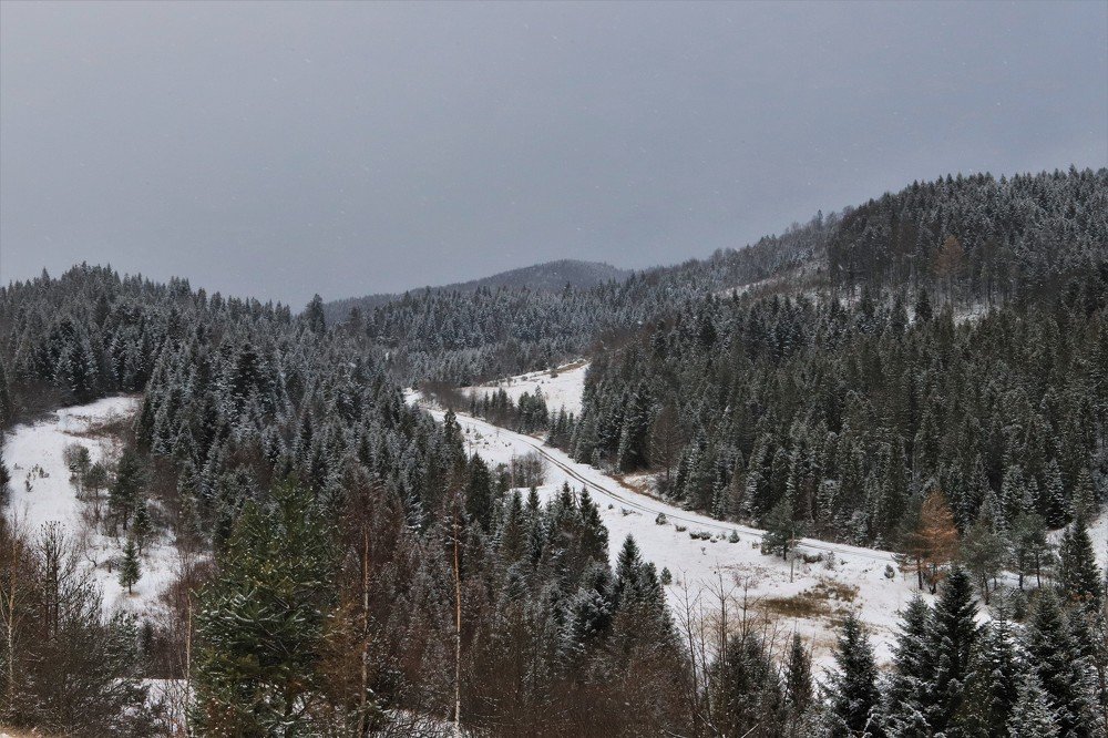 Photograph by Андрей Телибаев