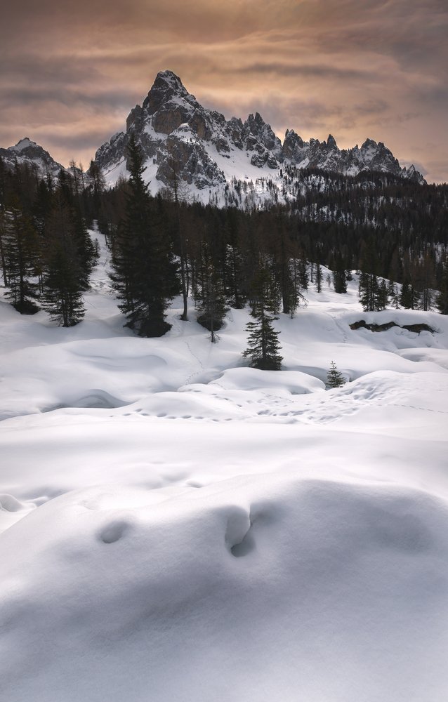 Photograph by Vjacheslav Simanovich