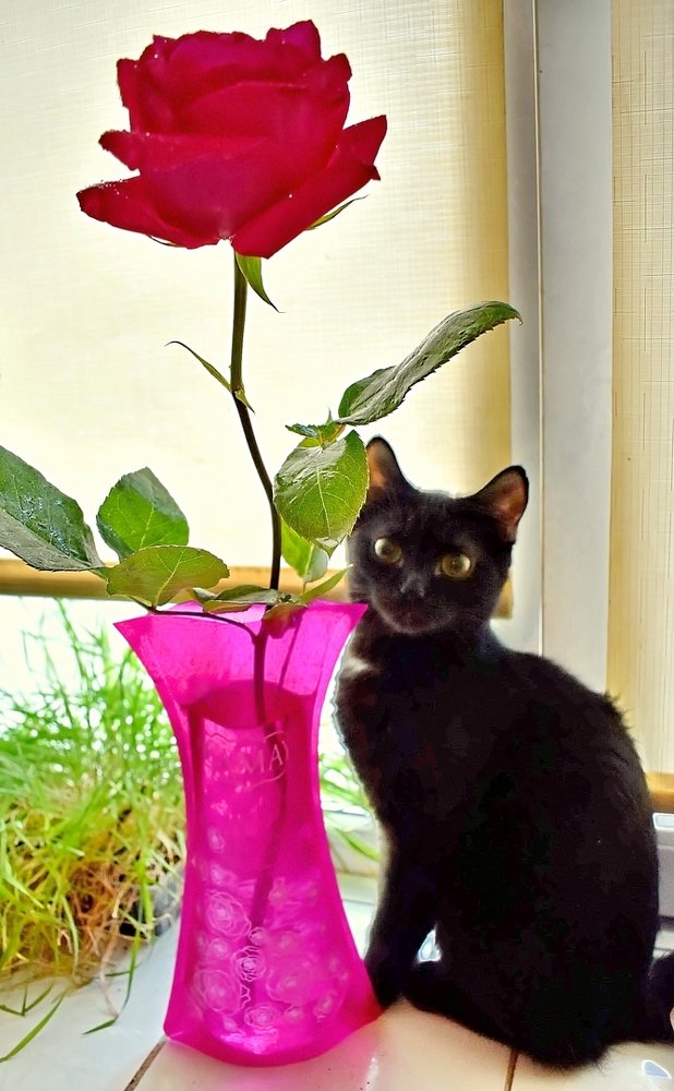 Photograph by НИНА АВЕРЬЯНОВА