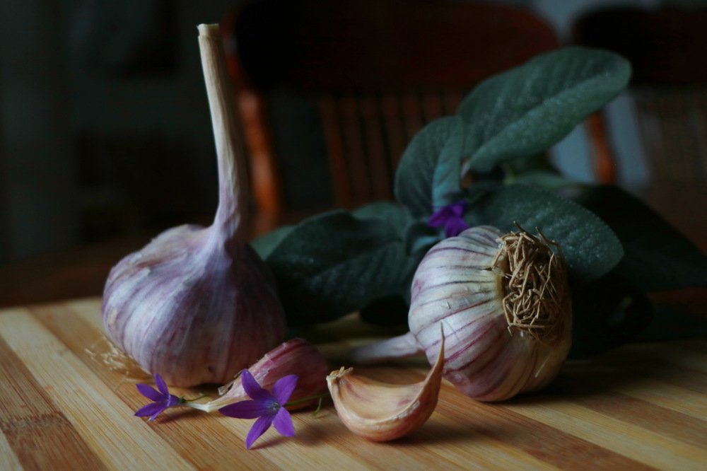 Photograph by Наталья Бурлакова