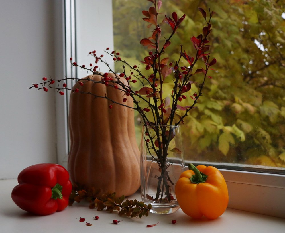 Photograph by Наталья Бурлакова