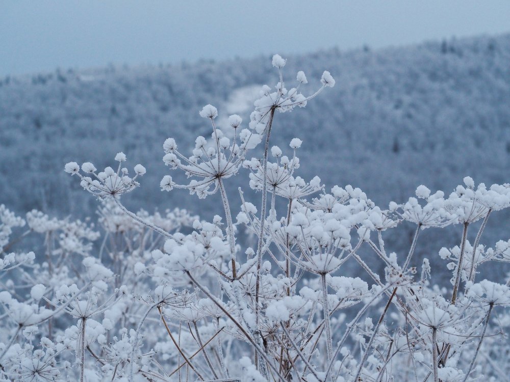 Photograph by Анна Шейко