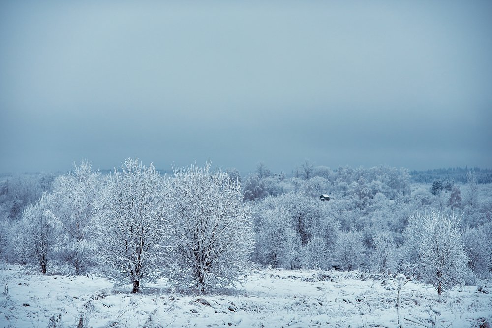 Photograph by Лариса Абрамова