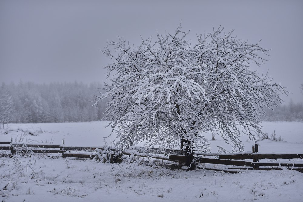 Photograph by Лариса Абрамова