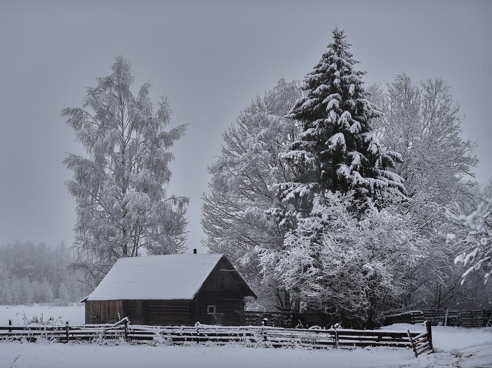 Photograph by Лариса Абрамова
