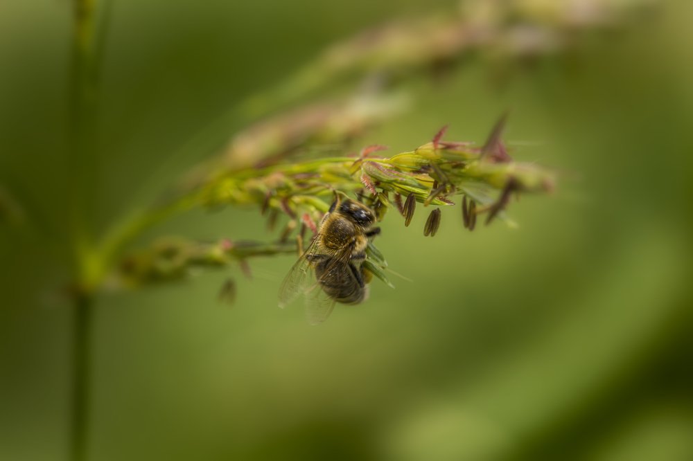 Photograph by Евгений Ким