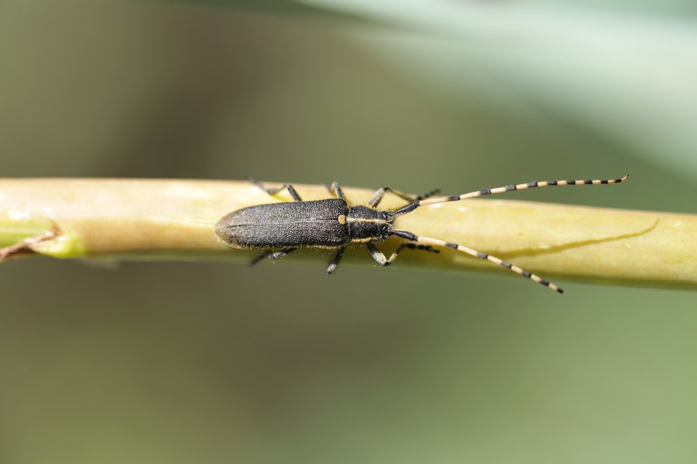 Photograph by Евгений Ким