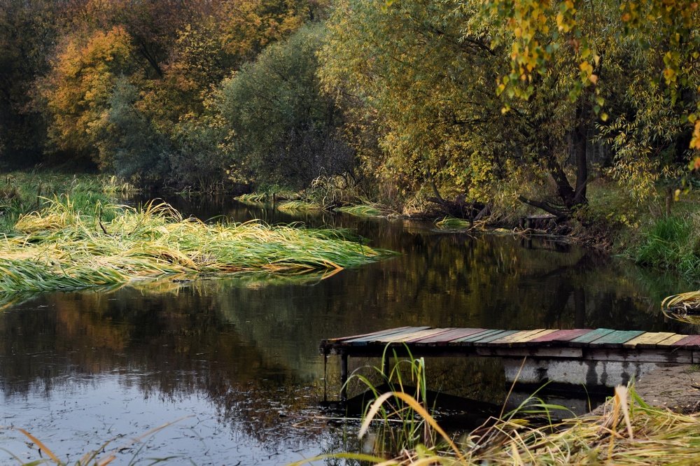 Photograph by Сергей Малашкин